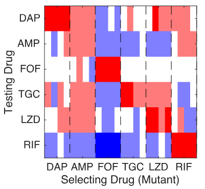 2019 PLoS Biology figure