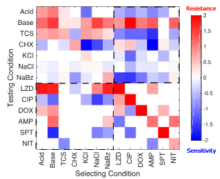 Figure from 2020 MBE publication