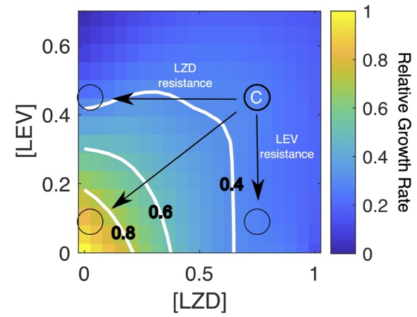Figure from 2026 FEMS Microbes publication